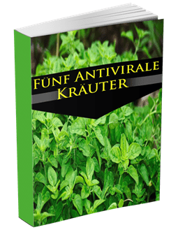 Antivirale Kräuter und Pflanzen